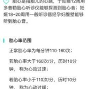 胎儿心率（胎儿心率正常范围是多少）