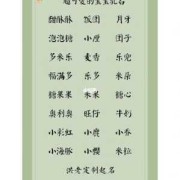 胎儿的乳名（胎儿的乳名大全2022）