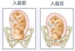 胎儿多少周入盆正常（一般胎儿多少周入盆）