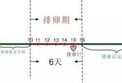 易孕期和排卵期有什么不同（在备孕期排卵日和排卵期的区别有什么不一样吗）
