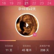 胎儿记录（胎儿记录app）