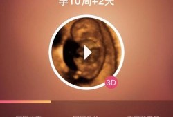 胎儿记录（胎儿记录app）