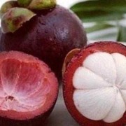孕妇吃山竹对胎儿好吗（宝宝能吃山竹吗）