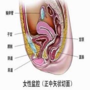 怀孕了有盆腔积液怎么办,孕期有盆腔积液怎么办啊