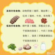 孕妇什么时候开始补铁,孕期一定要补铁吗?