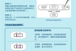 如何测孕期（如何测孕期时间）