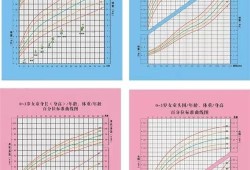 胎儿增长速度（胎儿增长速度）