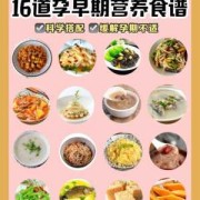孕期需要补充哪些营养（孕妇补充营养的菜谱）