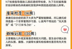 看懂孕期彩超（看懂孕期彩超要多久）