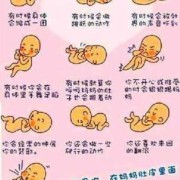 胎儿在肚子的左边还是右边（胎动在右边吗）