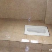 厕所蹲久了会怎样,蹲便会不会使胎儿缺氧