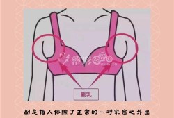 孕期副乳长乳头怎么消（孕期副乳长乳头怎么消）