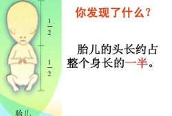 胎儿衔接未（胎儿未衔接说明什么）