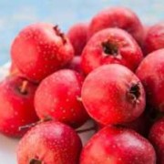 孕妇可以食用山楂吗,怀孕期可以吃山楂吗?