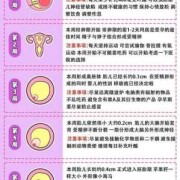 怀孕65天雌二醇多少是正常的,孕65天胎儿发育情况怎么样