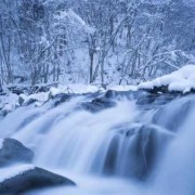 大雪的寓意和象征,孕期梦到下雪是什么意思