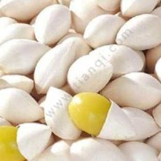 孕妇吃白果对胎儿影响（孕妇吃白果对胎儿影响）