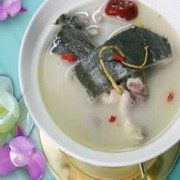 孕期可以喝甲鱼汤吗（孕期可以喝甲鱼汤吗?）
