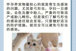 孕妇养猫对胎儿的危害（孕妇养猫对胎儿的危害有多大）