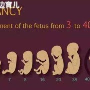 孕5个月胎儿发育情况（孕妇五个月能上班吗?有什么讲究的吗）