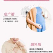 孕期护胸（孕期胸部护理产品）