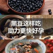 备孕期黑豆怎么吃最好（备孕期黑豆怎么吃最好呢）
