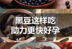 备孕期黑豆怎么吃最好（备孕期黑豆怎么吃最好呢）