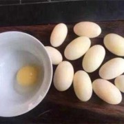 孕期胆（乌龟胆能吃吗？怎么吃）