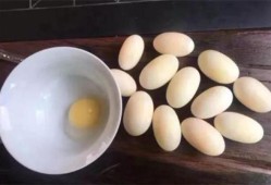 孕期胆（乌龟胆能吃吗？怎么吃）