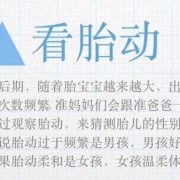 鉴别胎儿性别6个妙方（鉴别胎儿性别6个妙方）