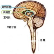 孕期胎儿脑积水的原因（孕期胎儿脑积水的原因）