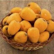 怀孕期间可以吃枇杷吗（怀孕期间可以吃枇杷吗?）