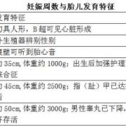 整个孕期是多少天（怀孕8周是多少天）