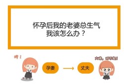 老婆怀孕了，脾气大，怎么办,孕期脾气大正常吗