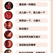 胎儿几周有胎动（胎儿几周有胎动）