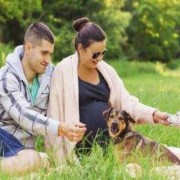 孕期如何养狗（家里有孕妇，可以养狗吗）