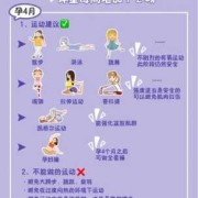 孕期 运动量（孕期运动量多少合适）