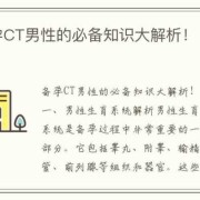 男性备孕期（男性备孕期间做CT有影响吗）