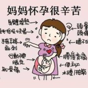 媳妇怀孕总说辛苦了怎么办,孕期感觉累是什么原因