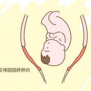 一般胎儿几个月入盆,怀孕几个月胎儿入盆正常