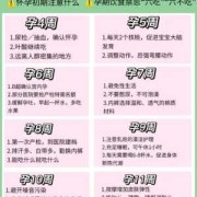 孕期 营养（孕期 营养）