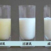 孕期初乳（孕期初乳什么时候出现）