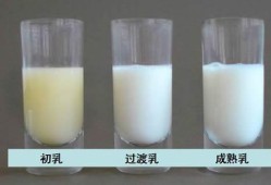 孕期初乳（孕期初乳什么时候出现）
