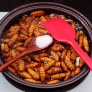 蚕蛹能吃吗,孕期可以吃蚕蛹吗有营养吗