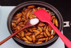 蚕蛹能吃吗,孕期可以吃蚕蛹吗有营养吗