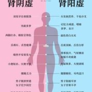 孕期肾虚（孕期肾虚的表现症状有哪些）