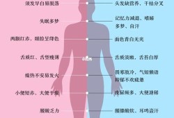 孕期肾虚（孕期肾虚的表现症状有哪些）