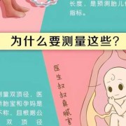 胎儿腿长一定是女孩吗（胎儿腿长的一定是女孩吗）