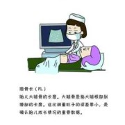 fl是指胎儿的什么（FL什么意思）