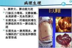 胎儿脾肿大（胎儿脾肿大的原因和危害）